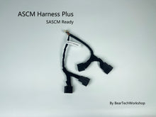 Load image into Gallery viewer, ASCM Harness Plus